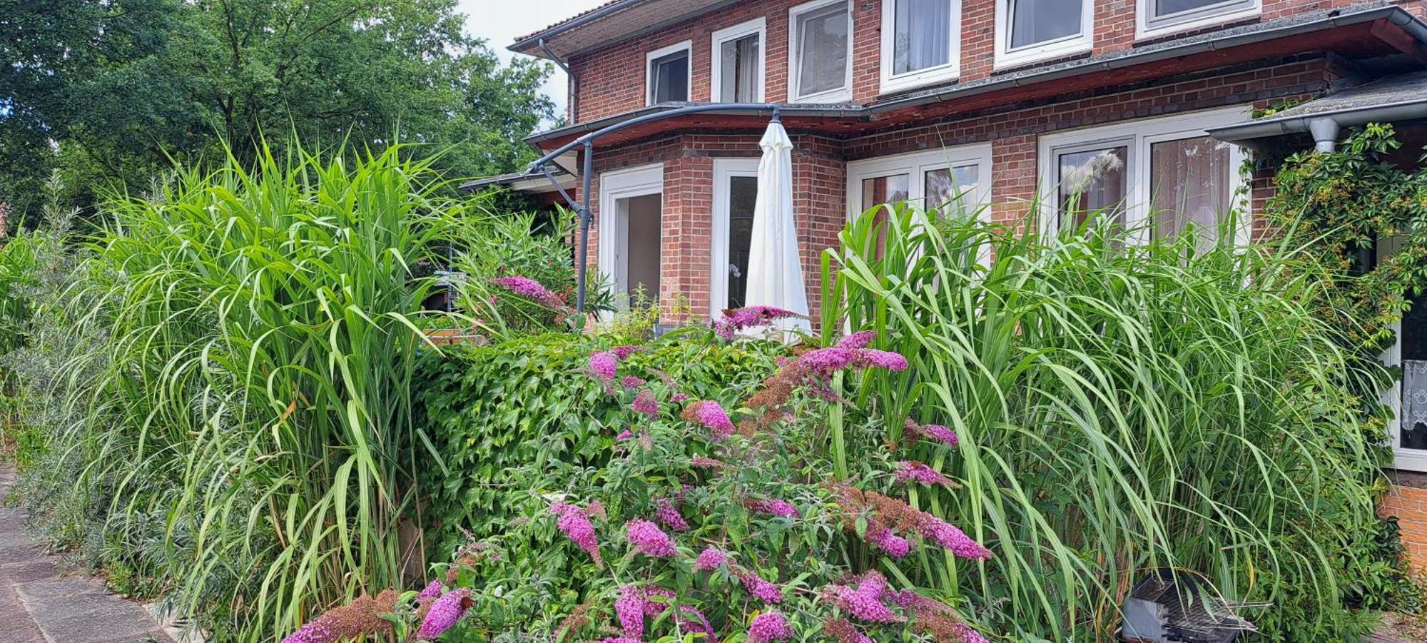 Schillers Landhaus Neu Darchau Ngoại thất bức ảnh